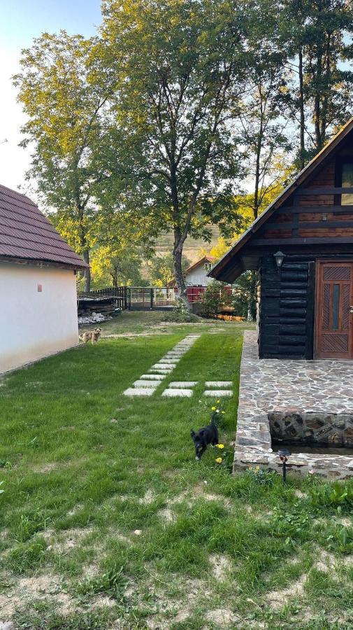 Cabana Paulina Chiscau Εξωτερικό φωτογραφία